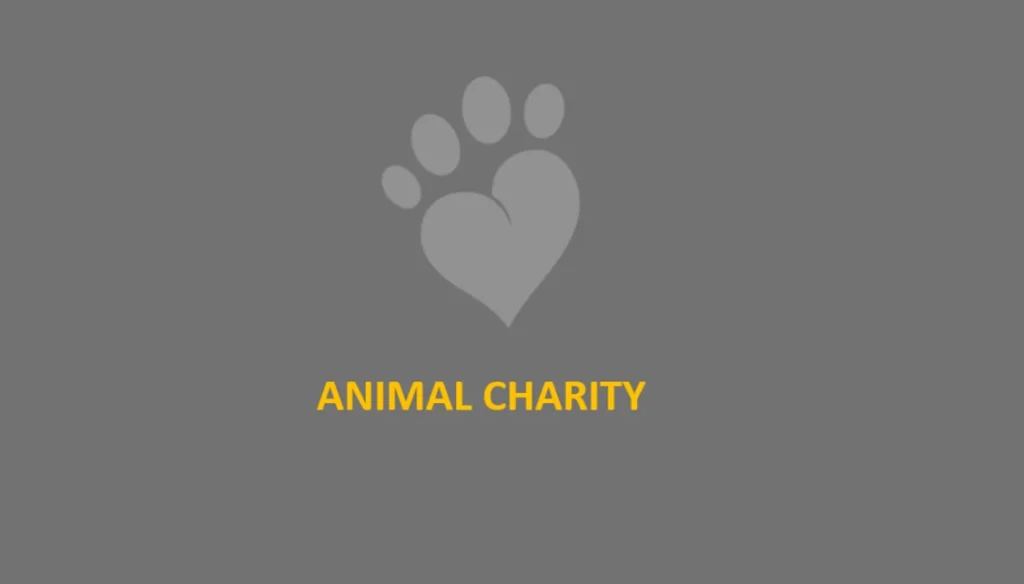 Animal-Charity